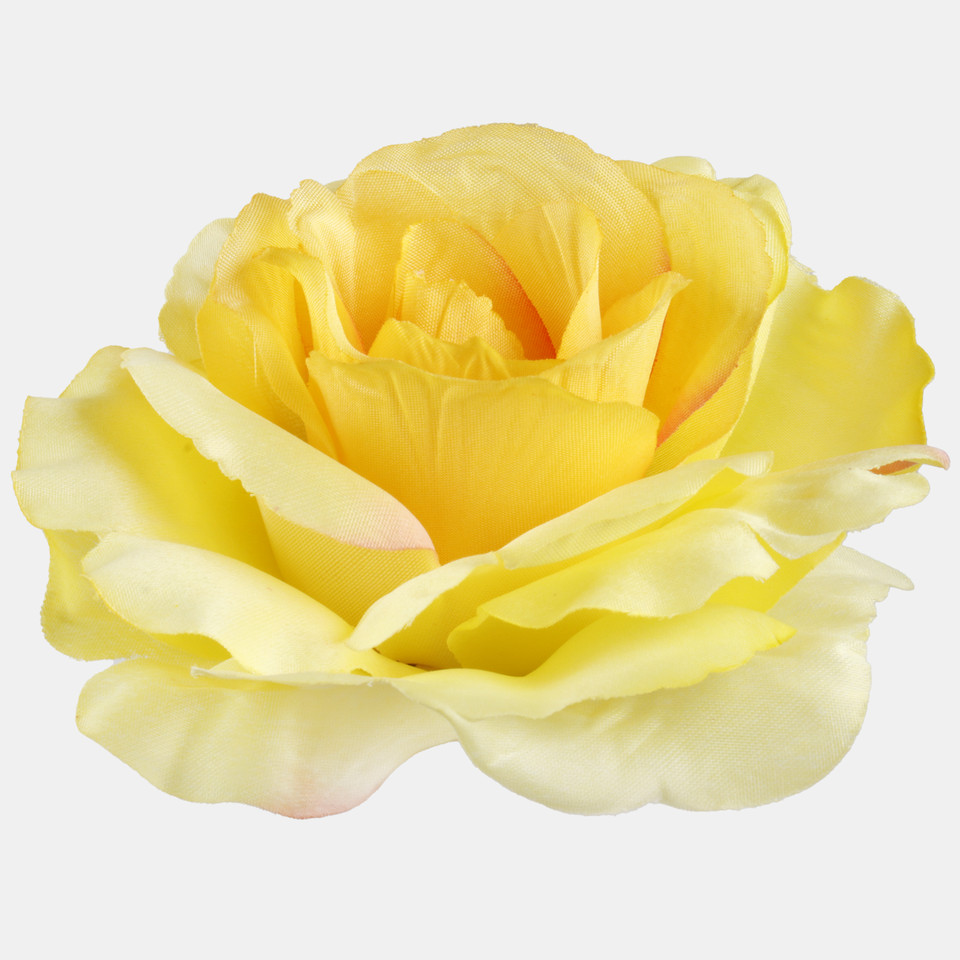 Róża, T.T. Yellow W729-10