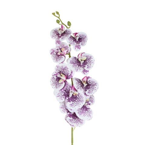 Storczyk - gałązka gumowana 102 cm, cream violet dot GK560-08