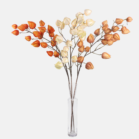 Chinese Lantern, Peach L876-01