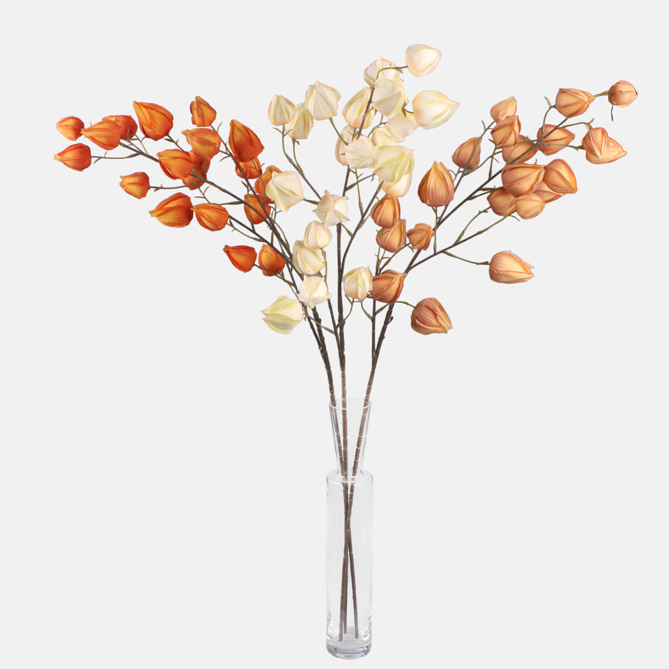 Chinese Lantern, Peach L876-01