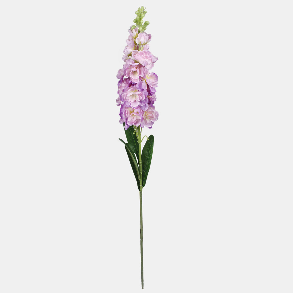 Delphinium, Violet L019-05