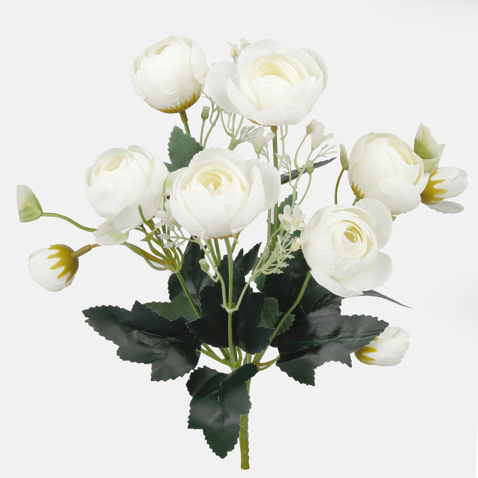 Camellia, Autumn Cream QA126-02