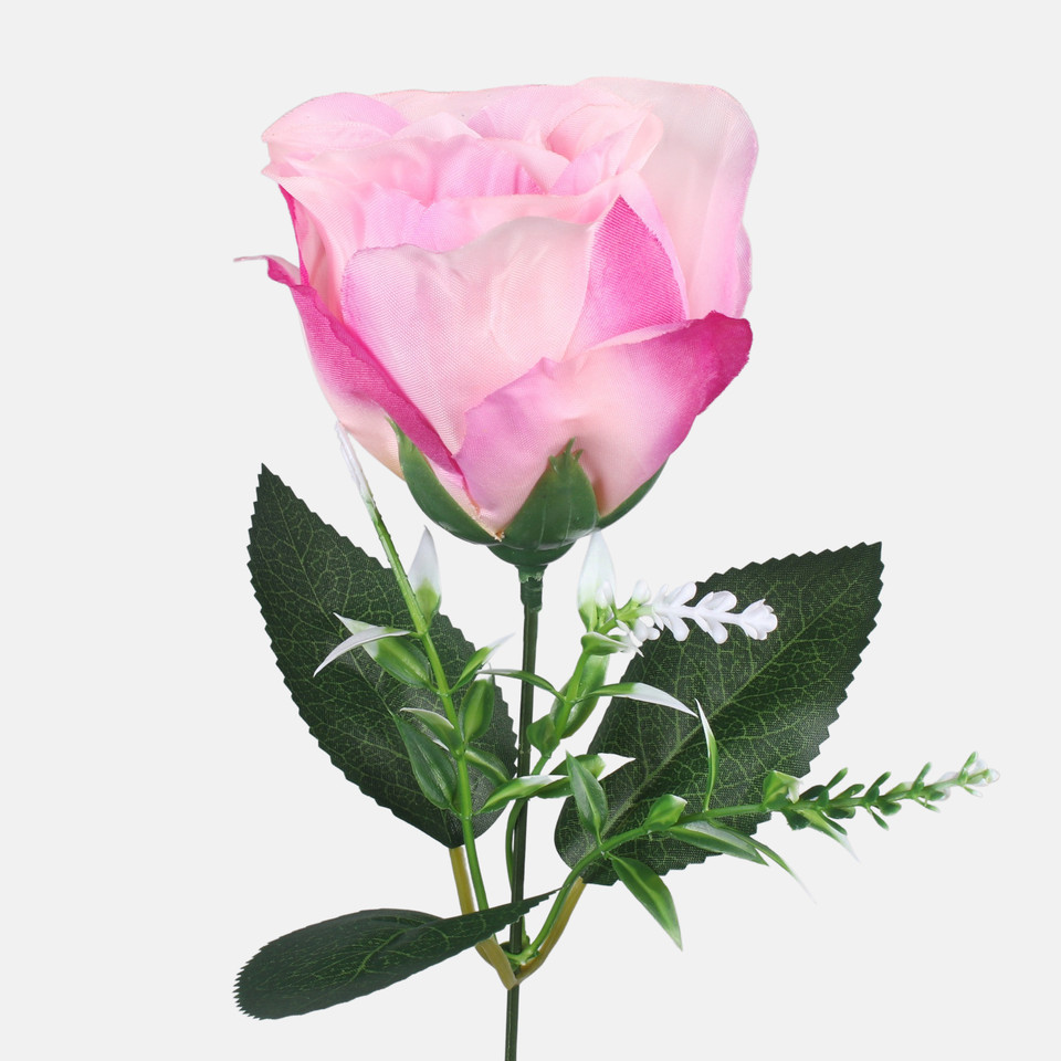 Róża w pąku, Pink/Purple G439-07
