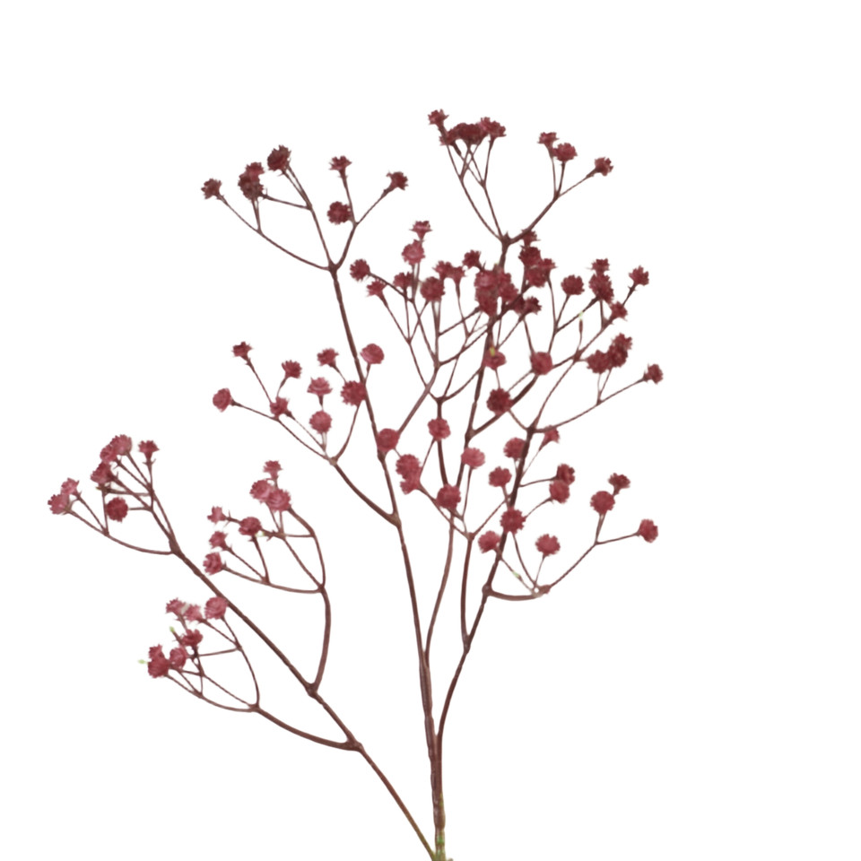 Gipsówka - gałązka 62 cm, 06 red AL86-06