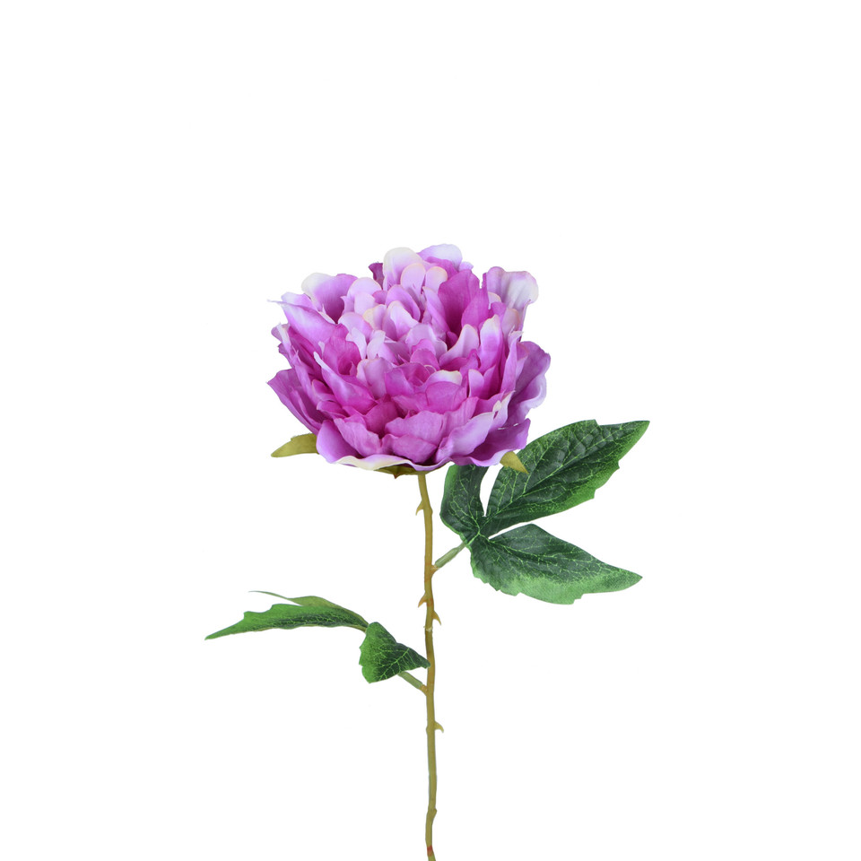Peonia - gałązka 57 cm, m K417-m