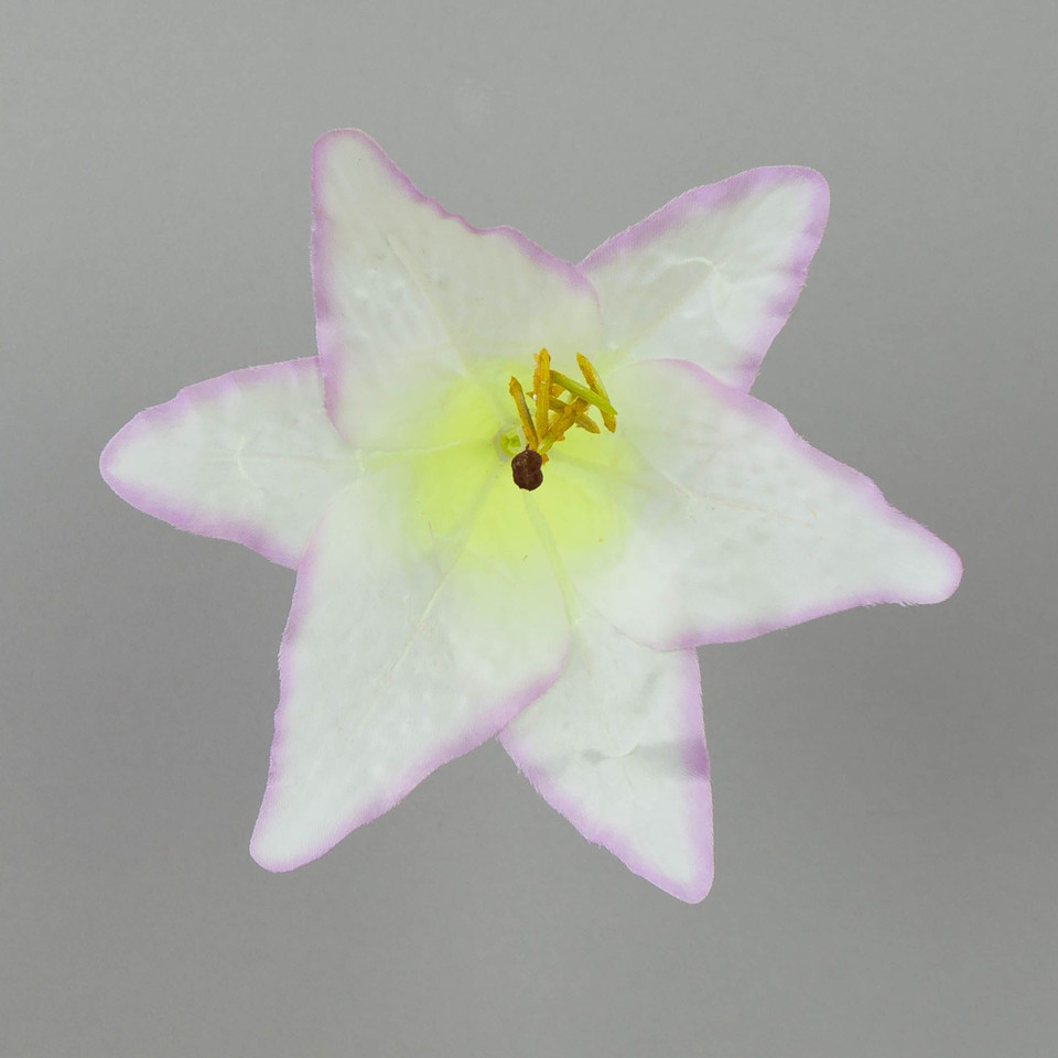 Lilia – główka, cream lt.purple edge W14-05