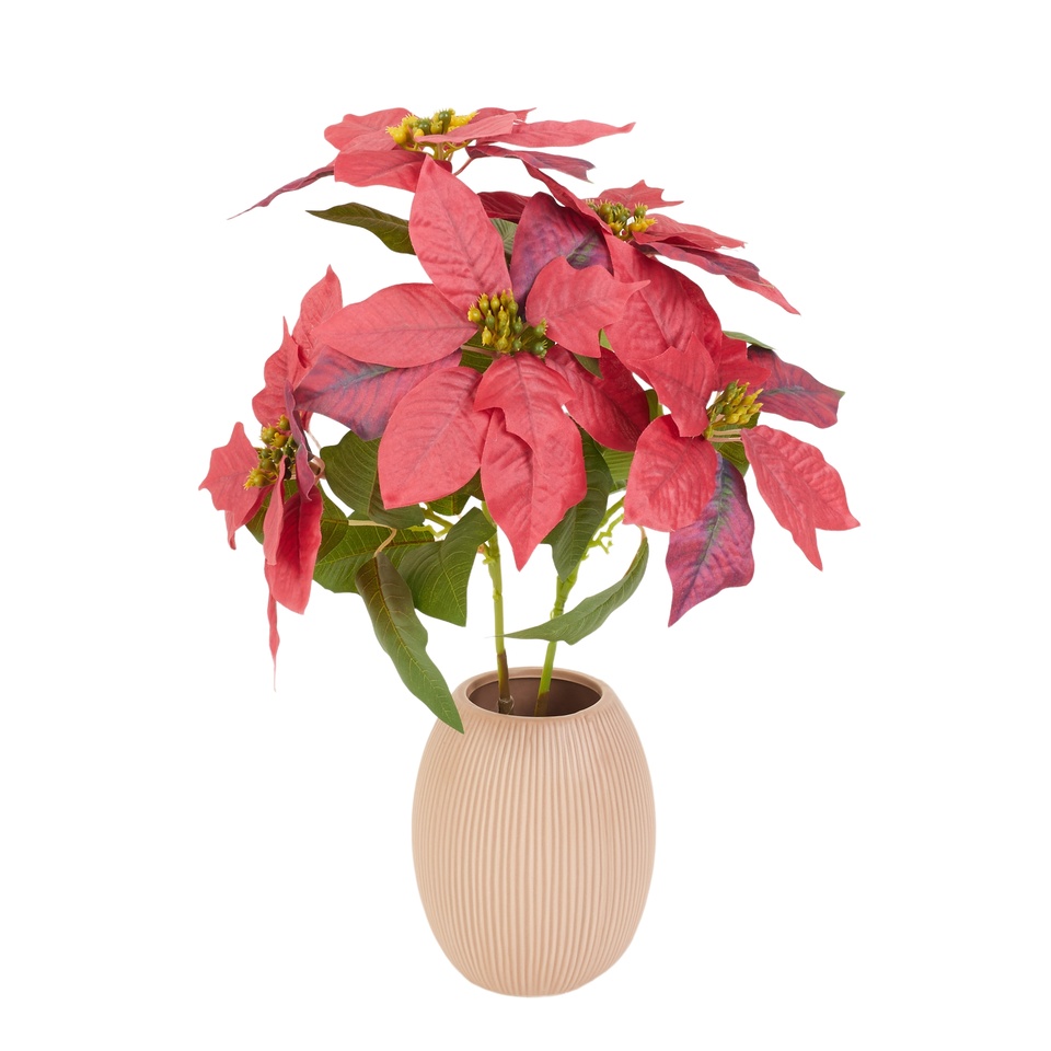 Poinsecja na łodydze 45 cm, 05 red Y102-05