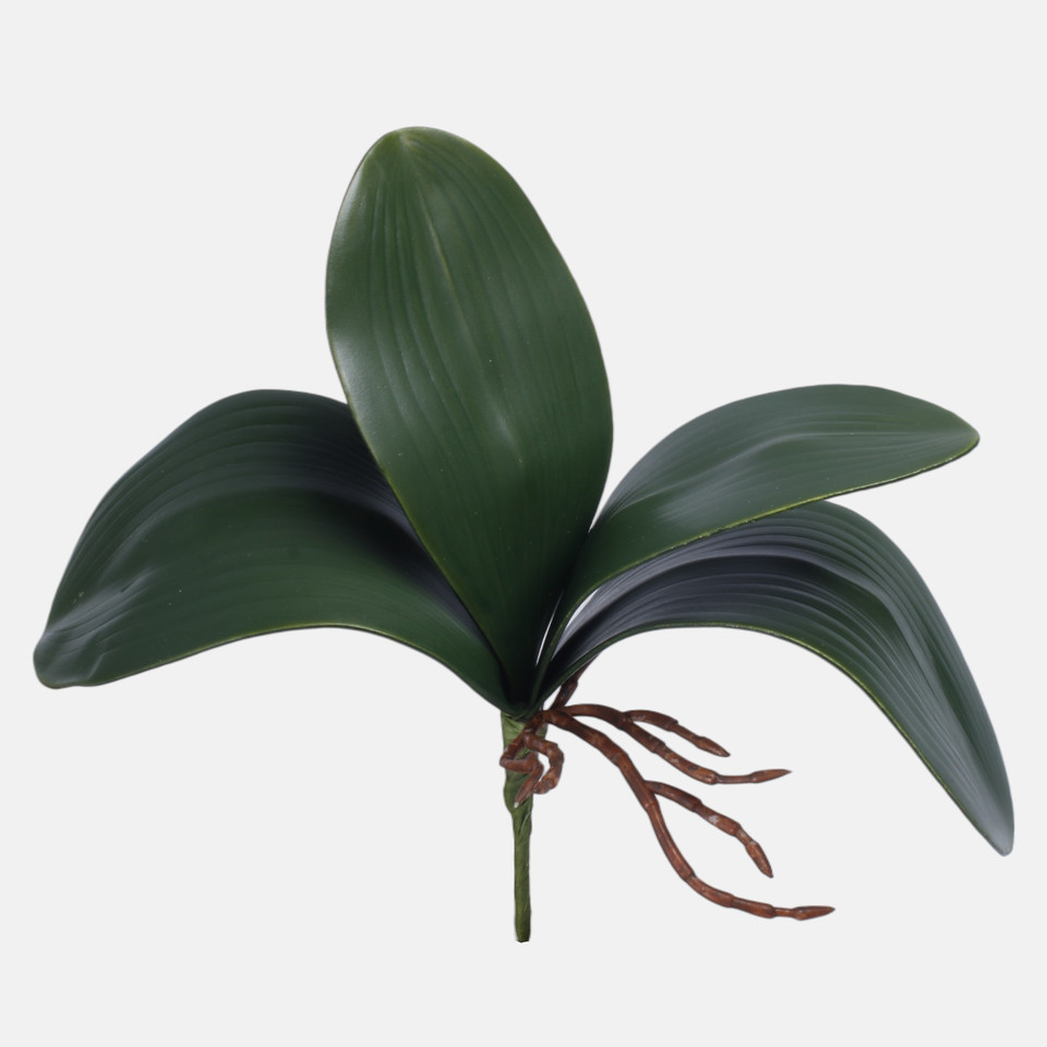 Orchid stem x 4, Green N009-01