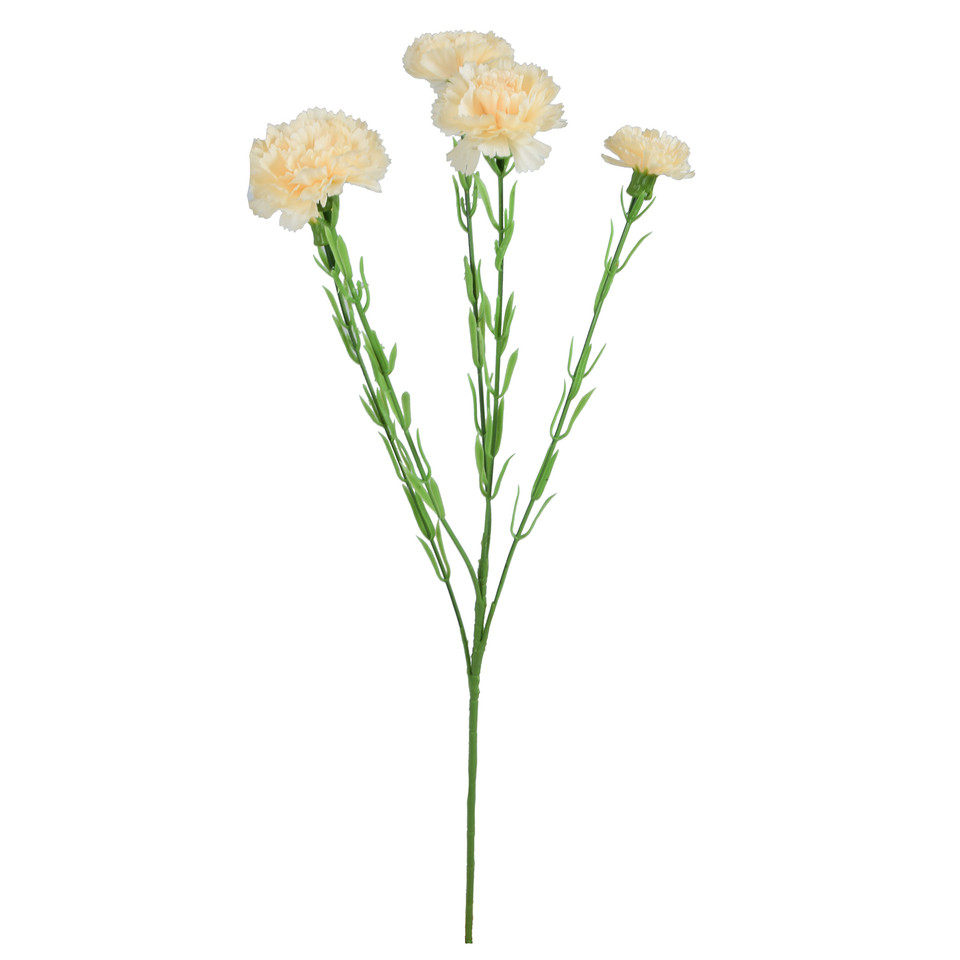 Goździk - gałązka 60 cm, m3 GK139-m3