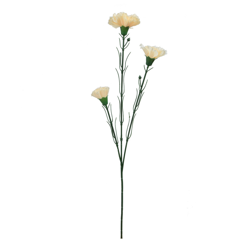 Goździk - gałązka 60 cm, m3 GK149-m3