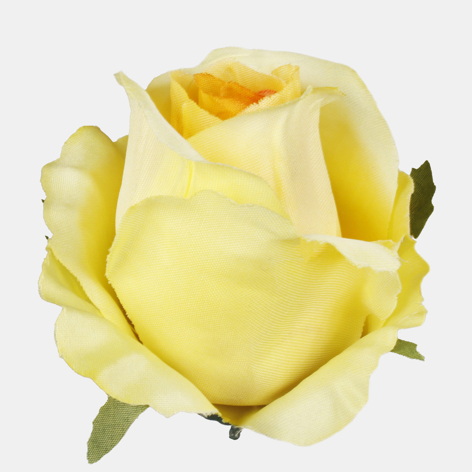 Róża w pąku, T.T. Yellow W732-09