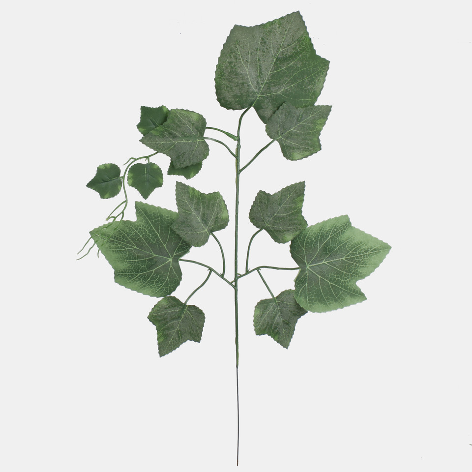 Winorośl (1 x 9), Green A748-01