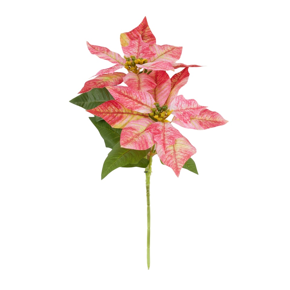 Poinsecja na łodydze 33 cm, 03 pink with yellow Y100-03