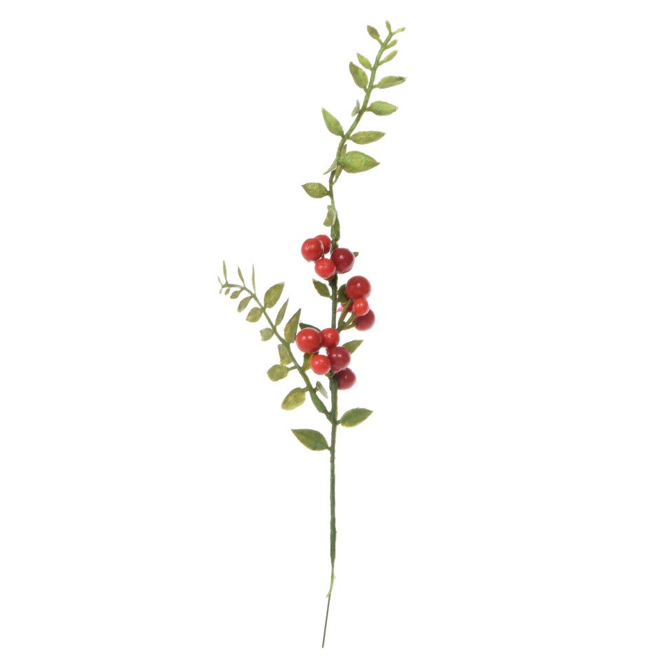 Pik z owocami, Green/Red R231-00