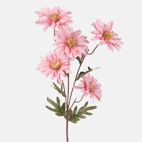 Dahlia, Pink L866K-03