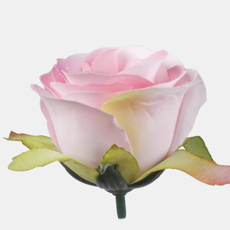 Róża w pąku, T.T. Lt. Pink/Lt. Green Edge W726-06