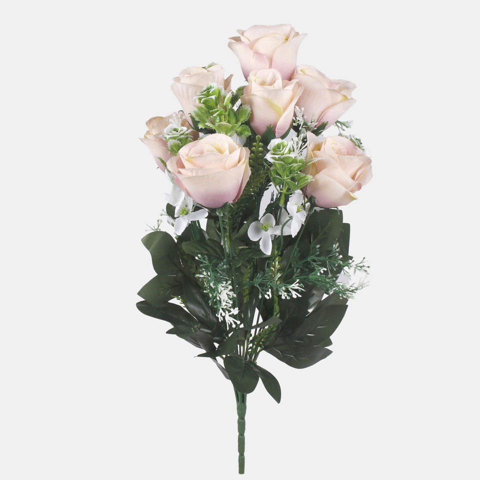 Rose x7, Mix 1 QA284-01