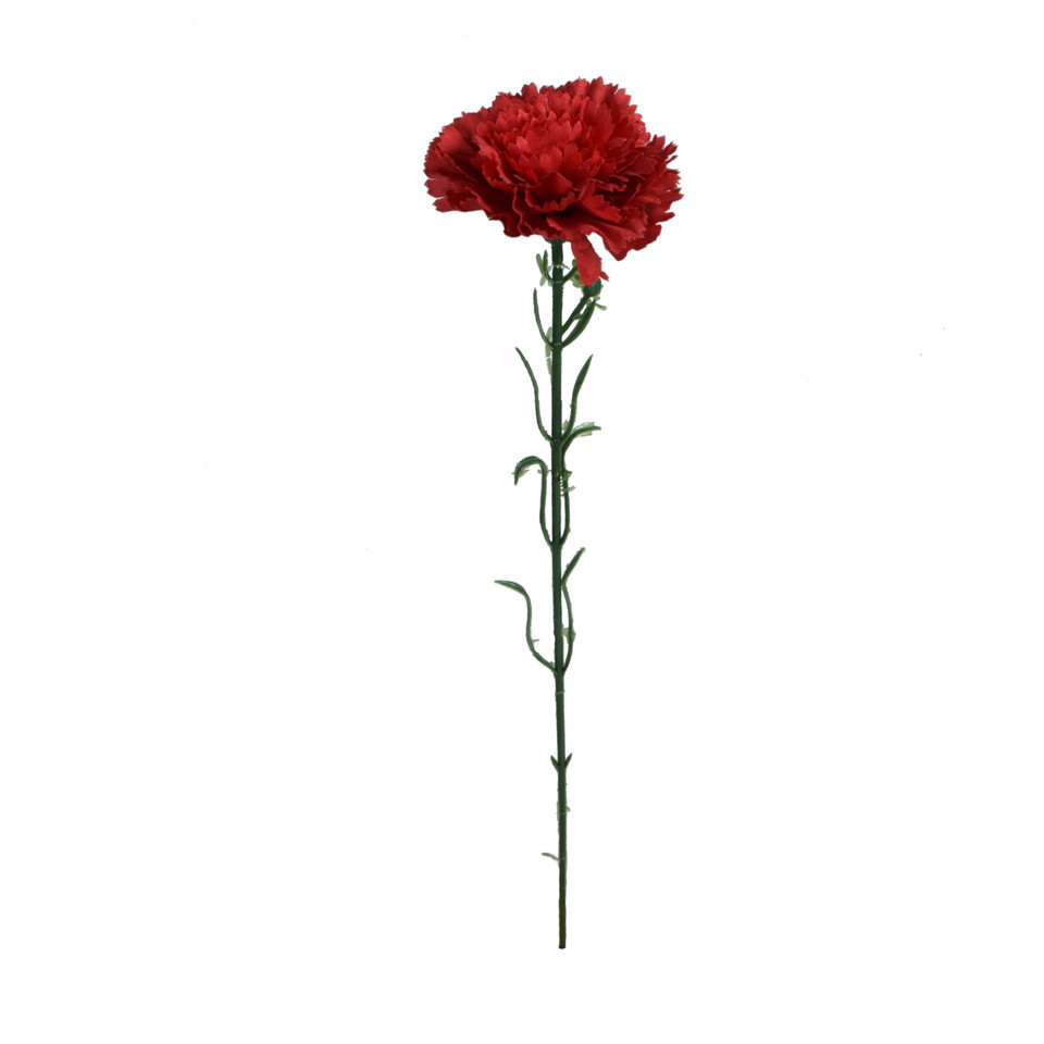 Goździk - gałązka 54 cm, m2 GK148-m2