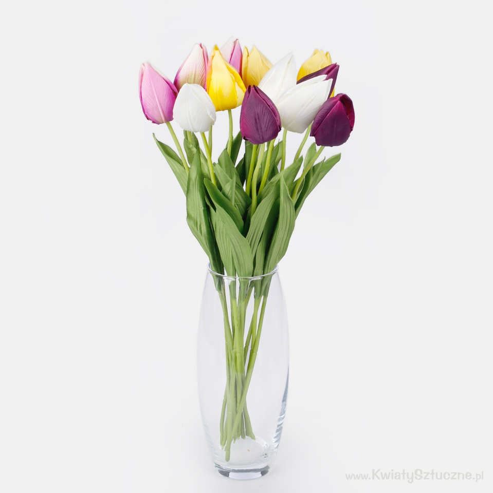 Tulip, Cream G166-02