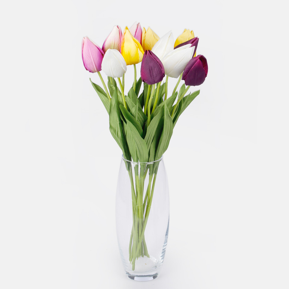 Tulipan, Cream G166-02