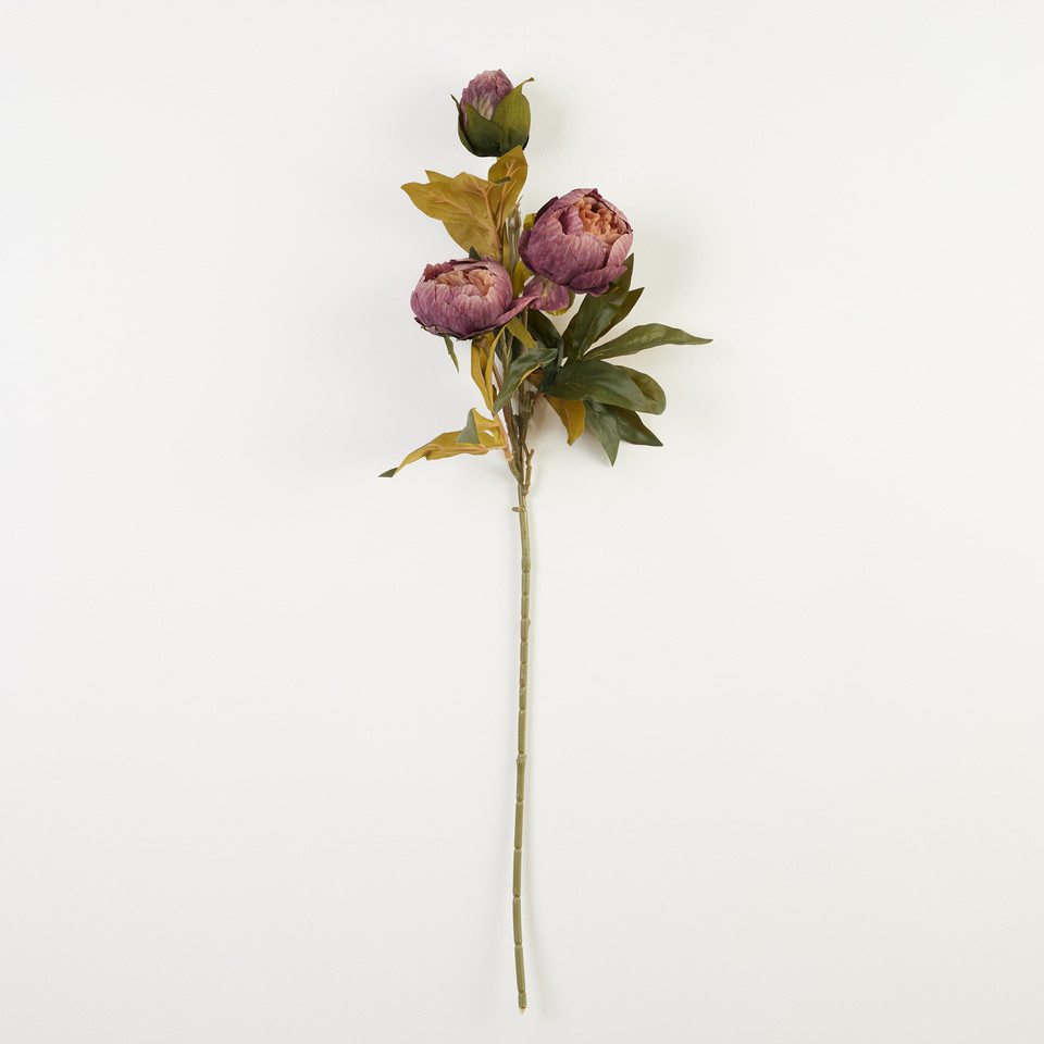 Peonia – gałązka x3, 22 B38-22