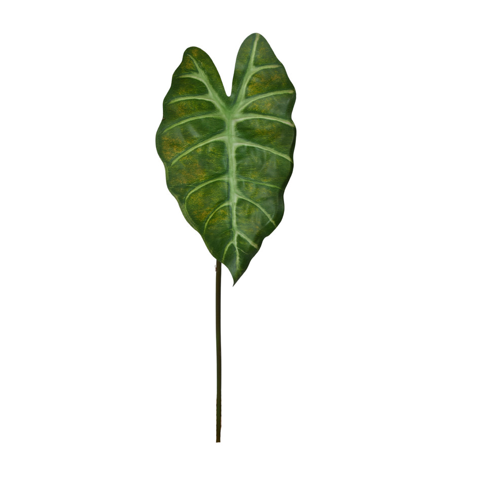 Alokazja - liść  60 cm, green LL001-01