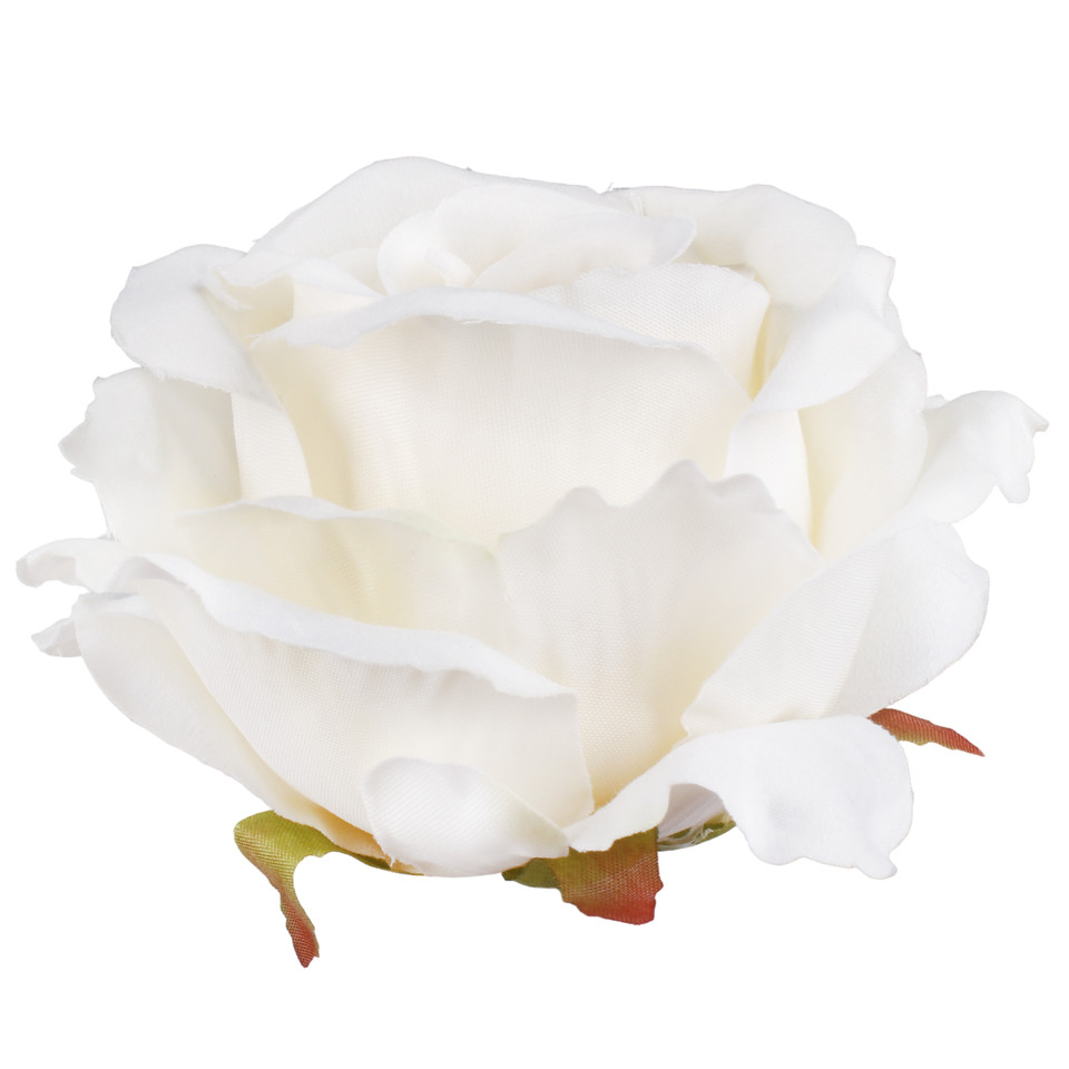 Rose, Cream/Green Edge W697-01