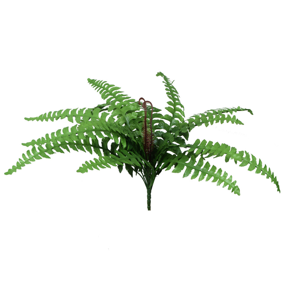 Paproć - bukiet 50 cm, green R586-00