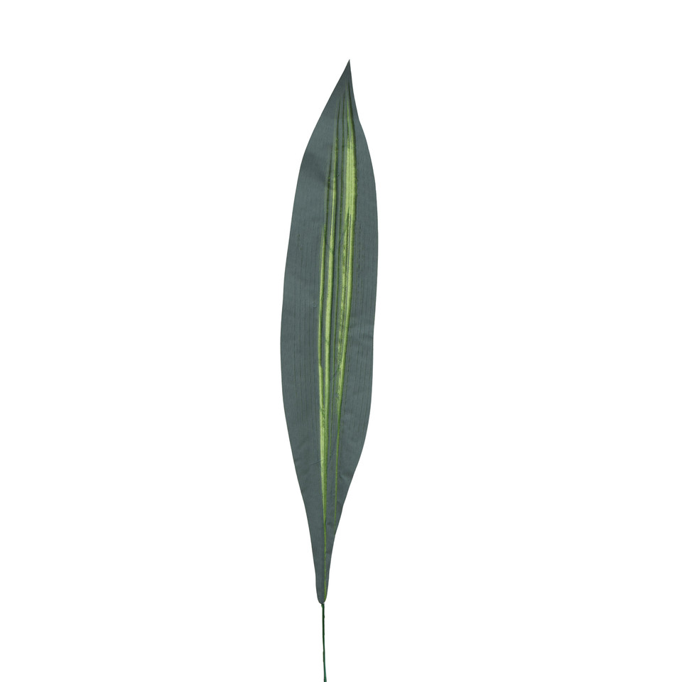 Liść draceny, T.T. Green L526-00