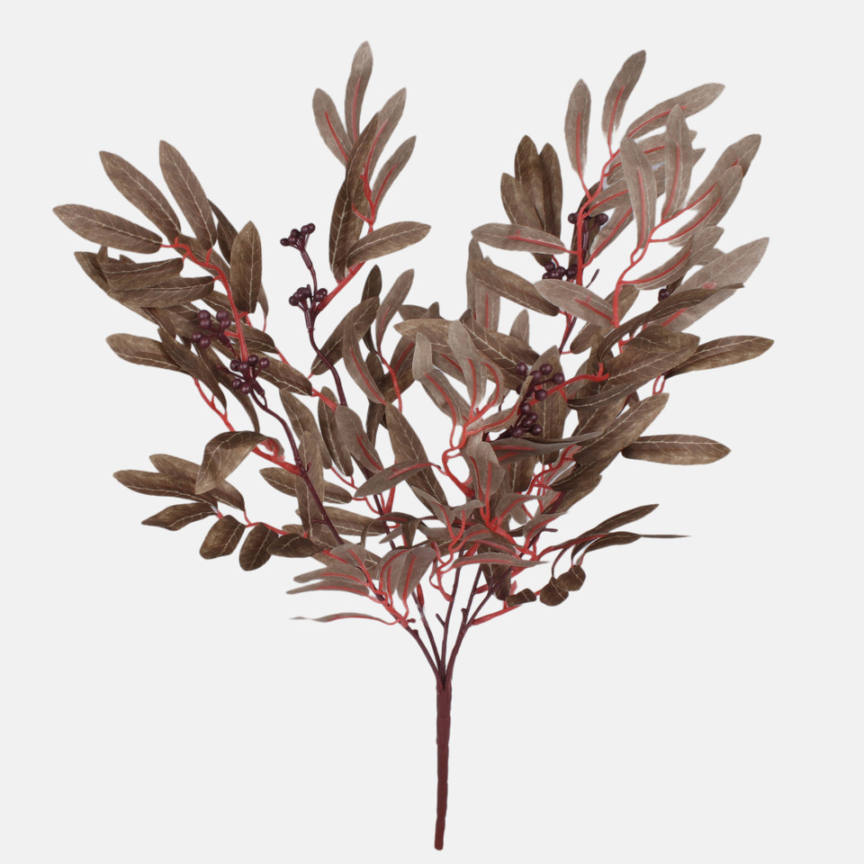 Olive x 5, Lt. Brown F107-01