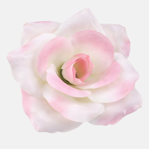 Rose, Lt. Peach/Lt. Pink W751-06