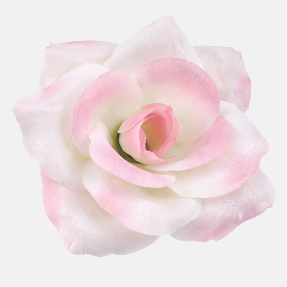 Róża, Lt. Peach/Lt. Pink W751-06
