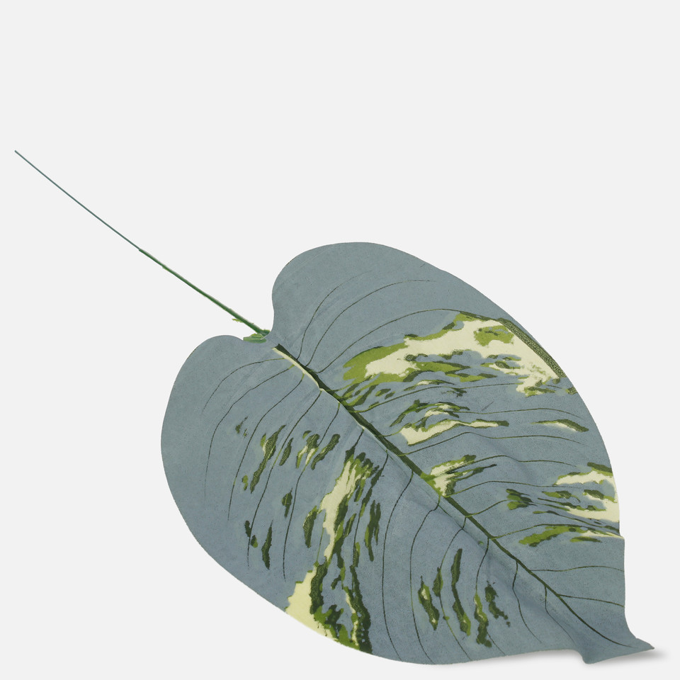 Hosta leaf, Frosty Green A692
