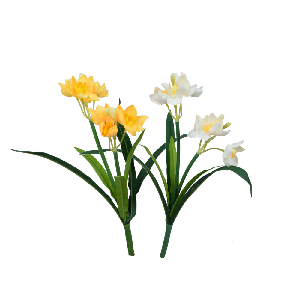 Żonkil - bukiet 36 cm, m U970E-m