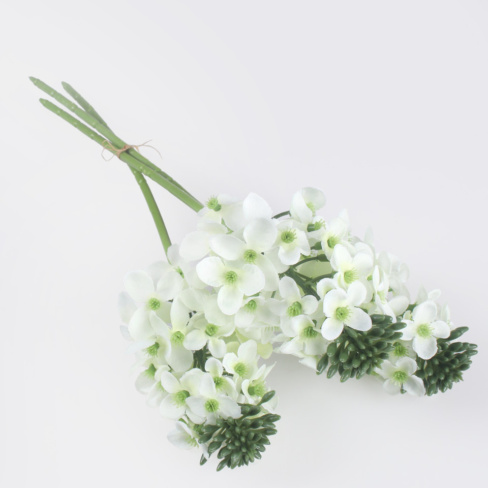 Tuberoza x 3 bukiet, Cream QA363-01