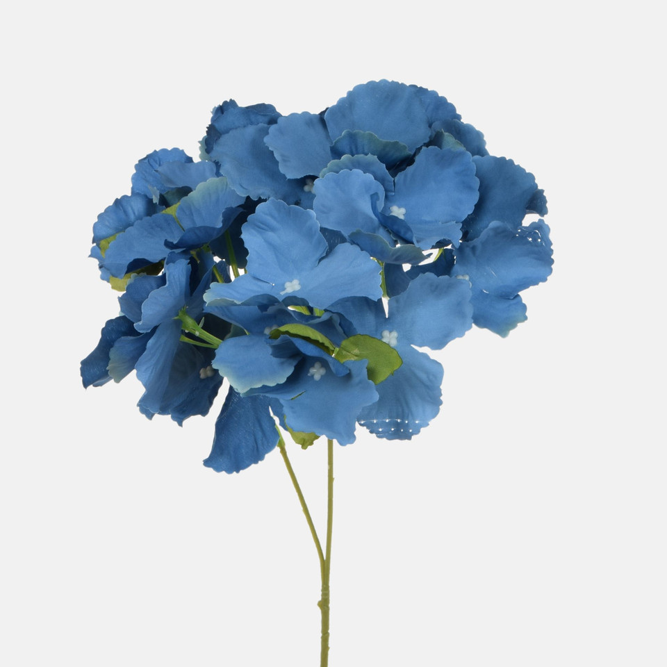 Hydrangea, Blue BK320-07