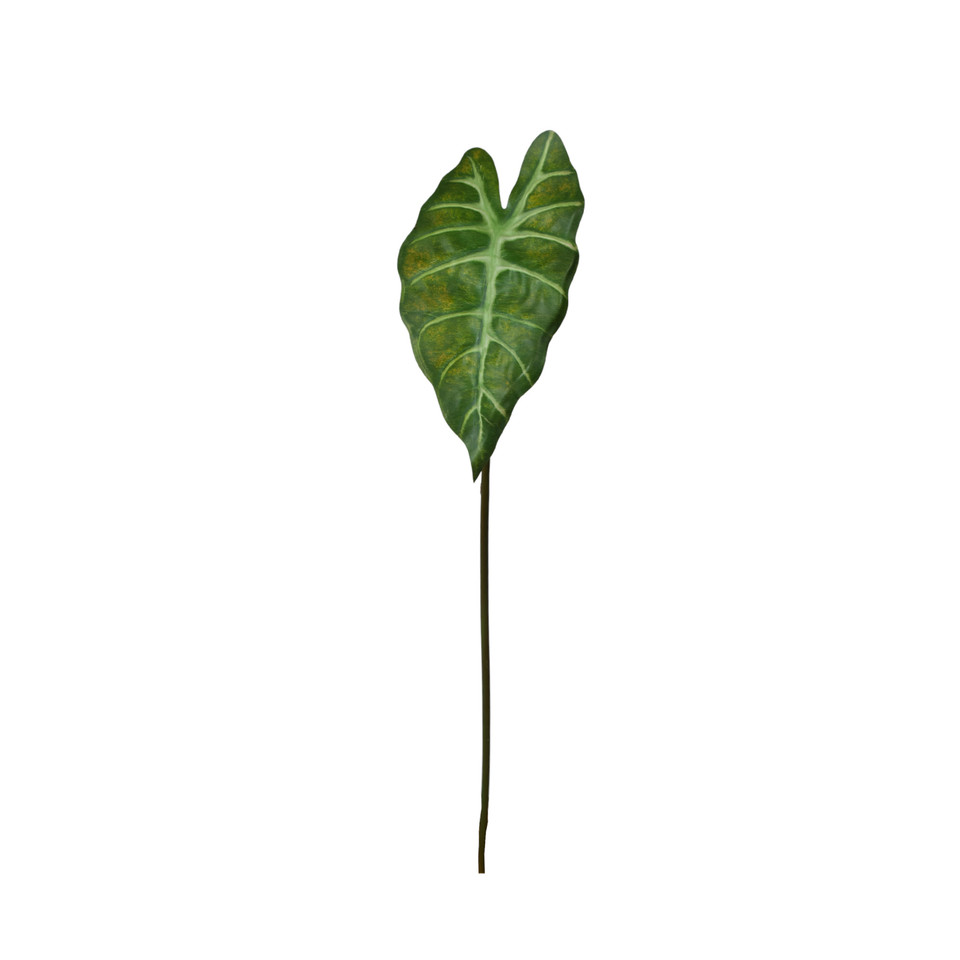 Alokazja - liść  60 cm, green LL001-01