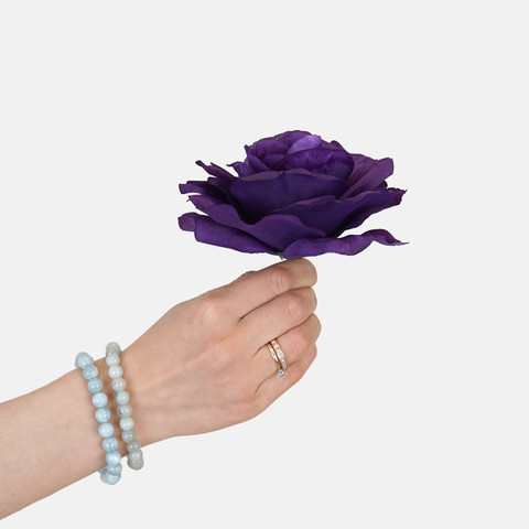 Róża, Dk. Violet W729-14