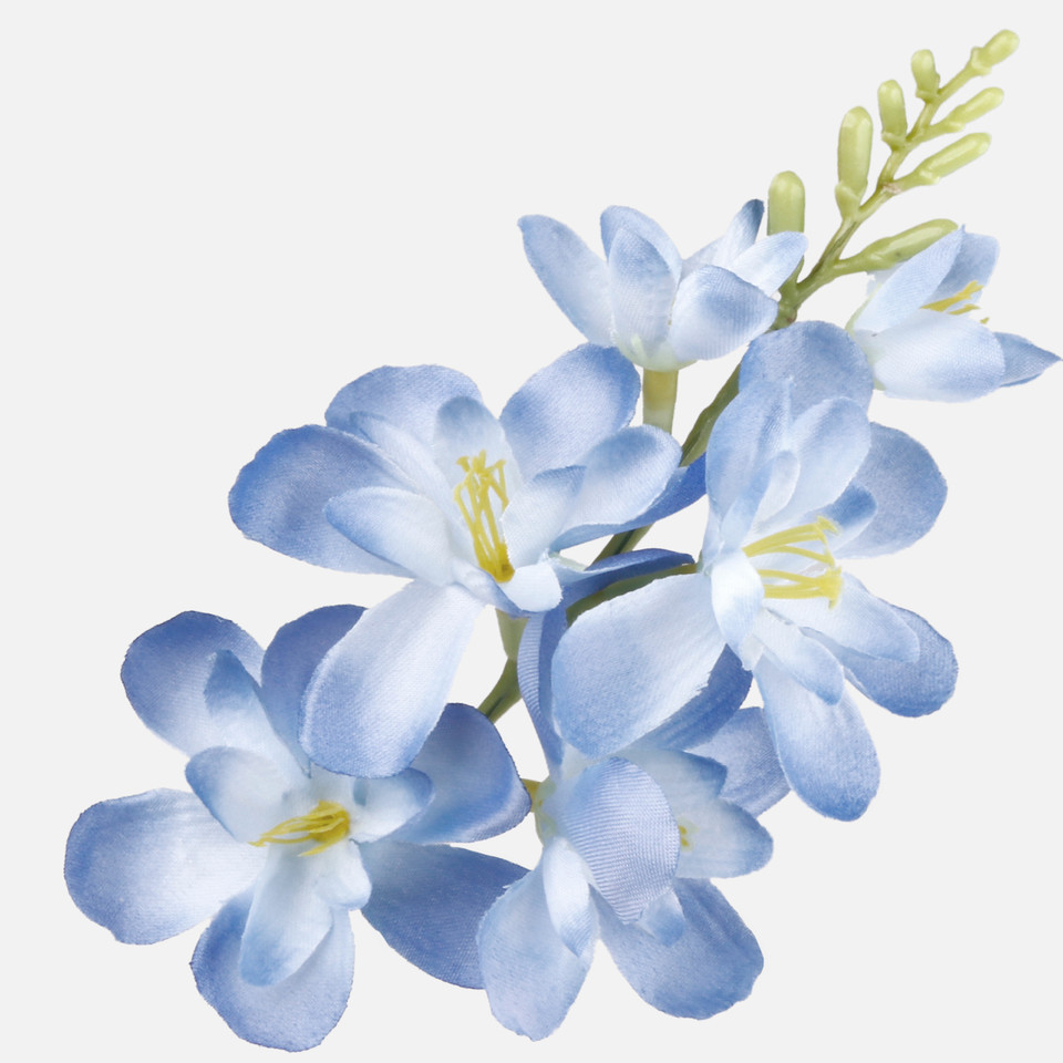 Satin freesia, Blue W677-16