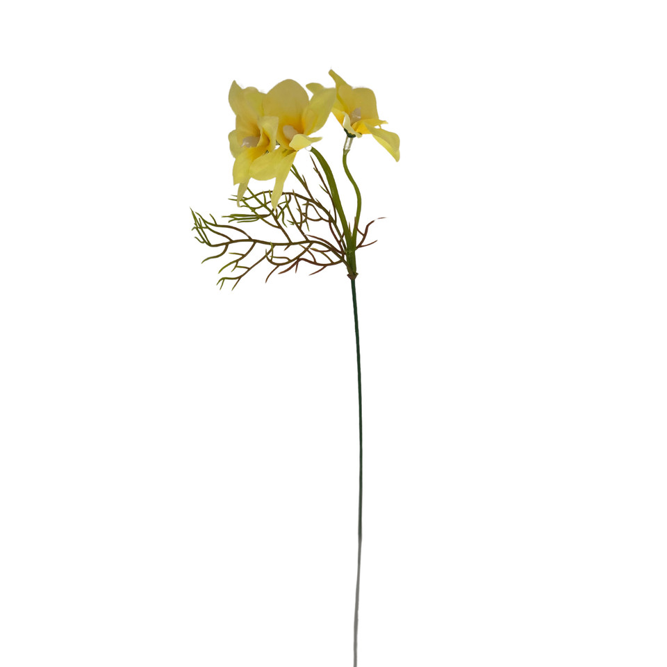 Żonkil - pik 33 cm, m DK075E-m