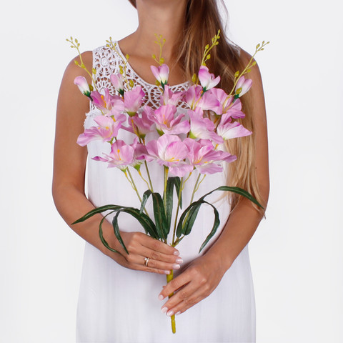Gladiolus x 5 QA053 (Product size)