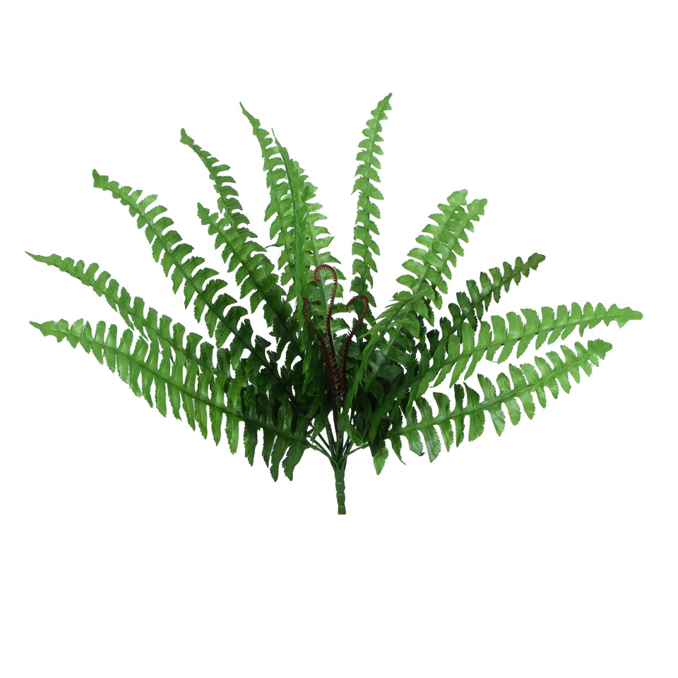 Paproć - bukiet 59 cm, green R587-00