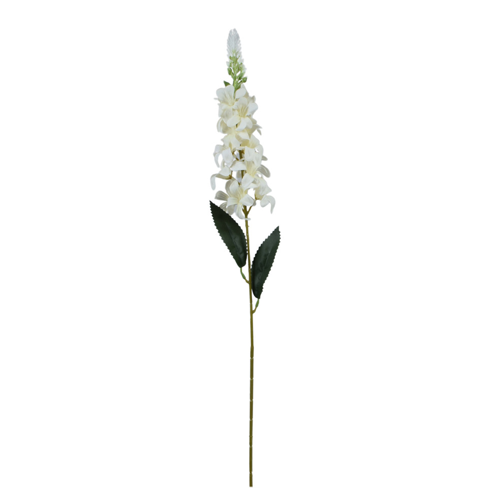 Delfinium Ostróżka – gałązka 75 cm, m2 K649-m2