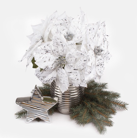 Shiny poinsettia, White G398S-01