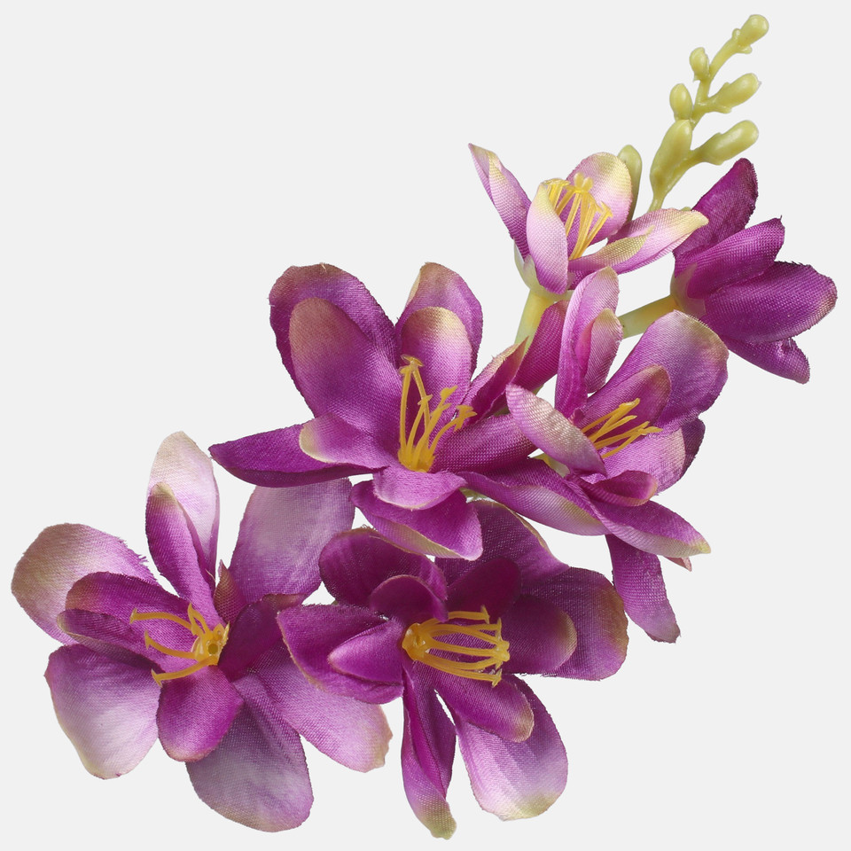 Frezja satynowa, Purple W677-06