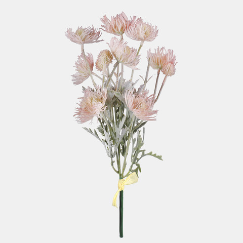 Thistle, Peach QA301-04
