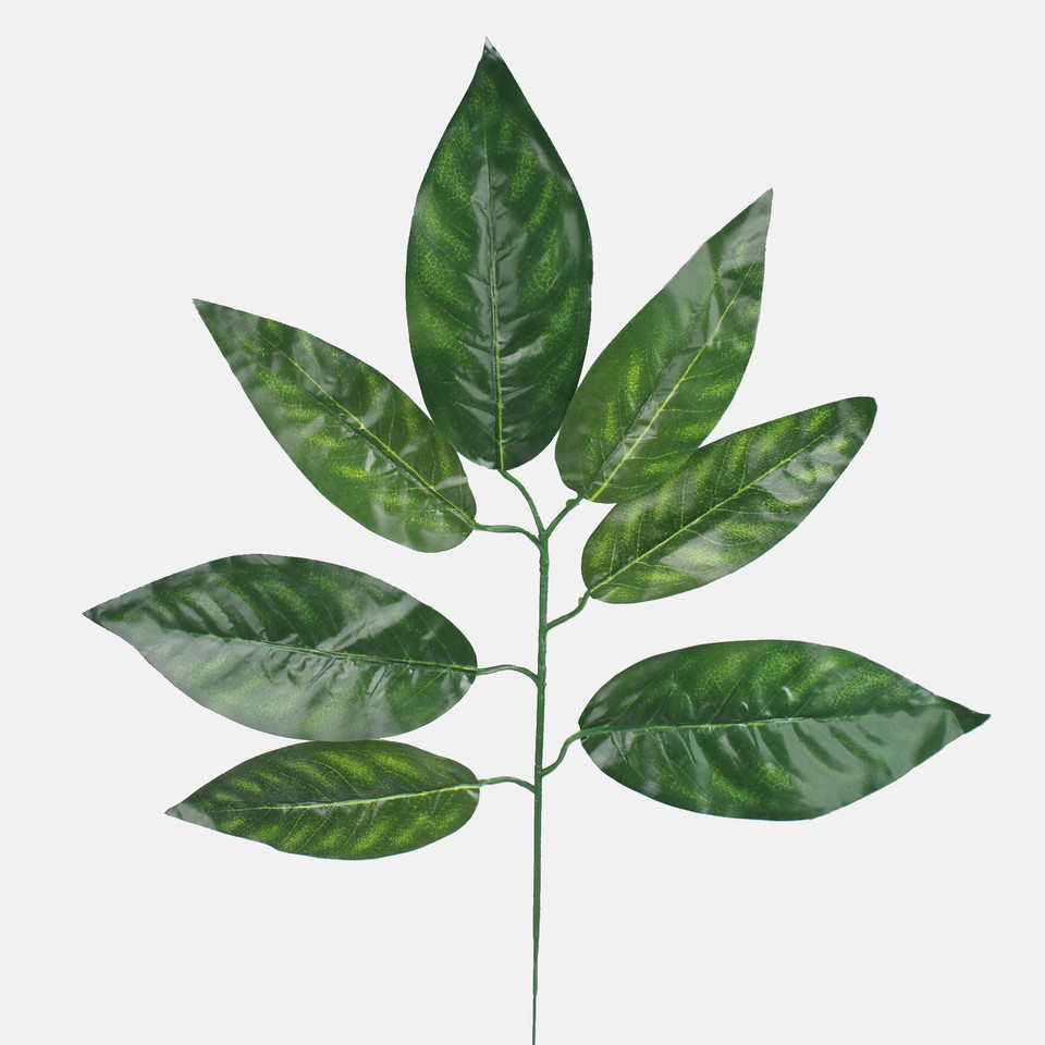 Nut, Dk. Green F217-01