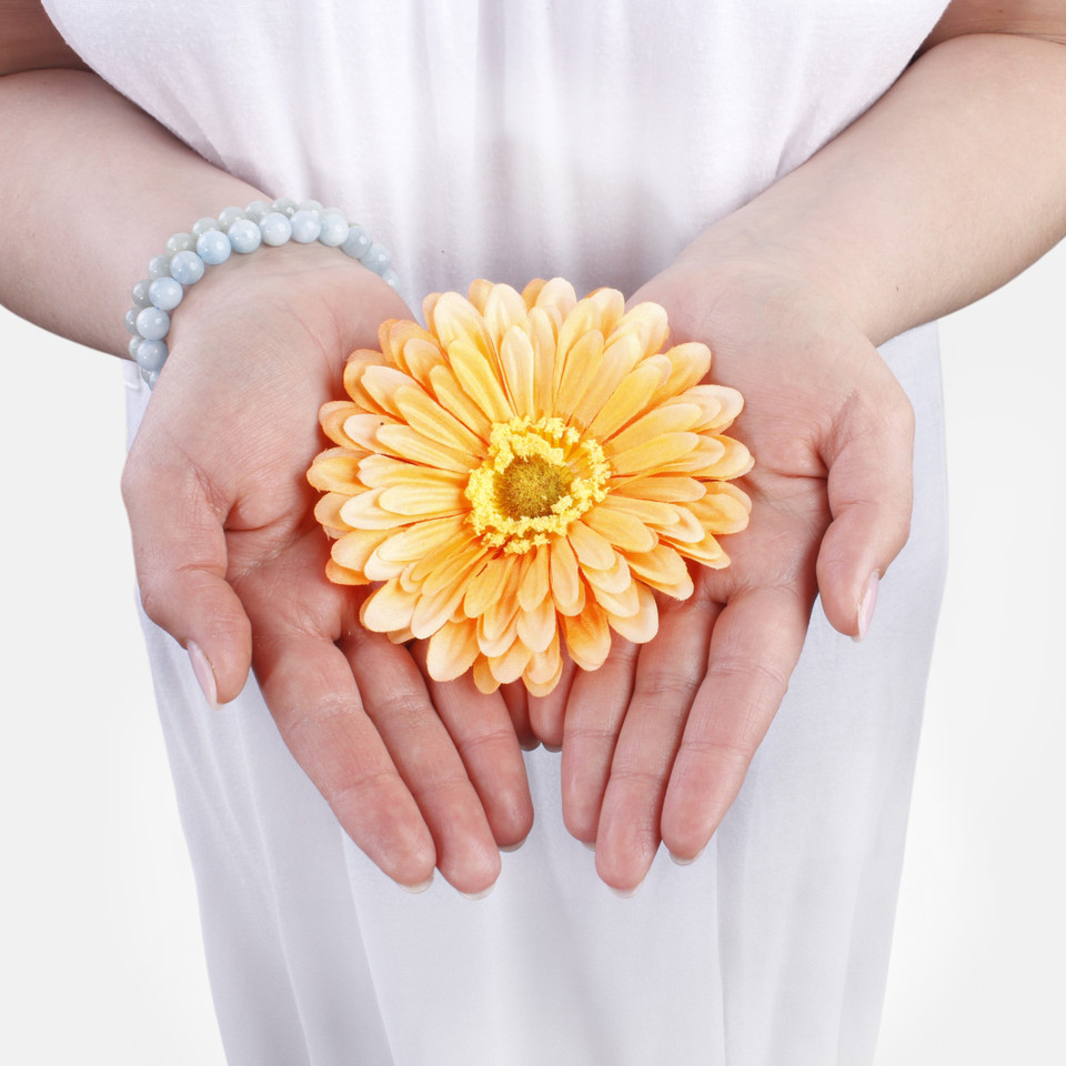 Gerbera W010