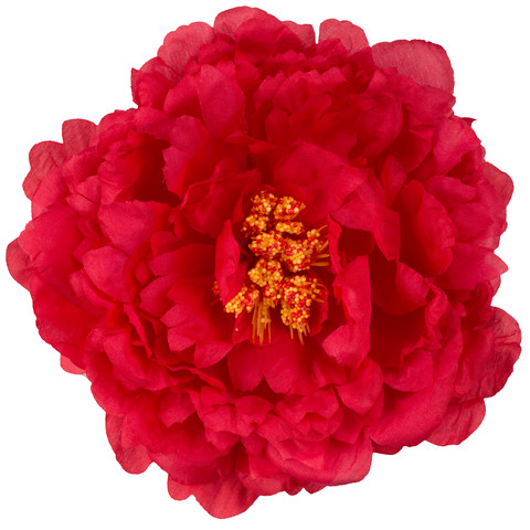 Peony, Red W615-04