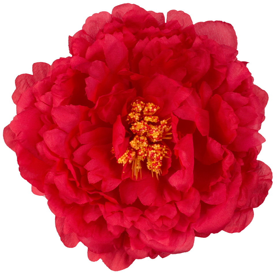 Peony, Red W615-04